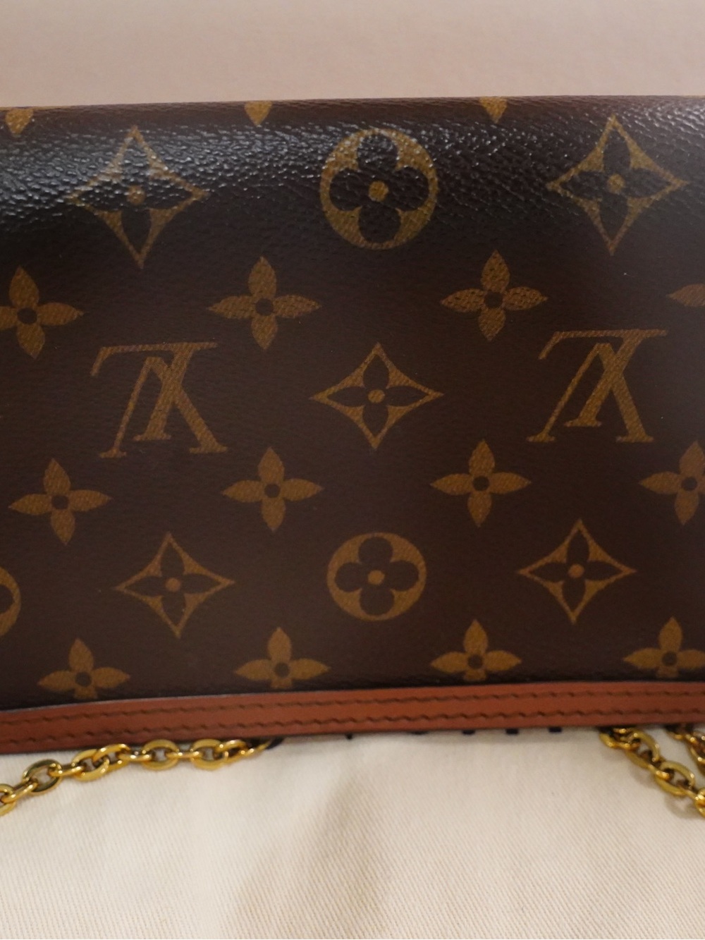 Louis Vuitton Dauphine Reverse Monogram with Gold Hardware/Chain - Picture 10 of 16